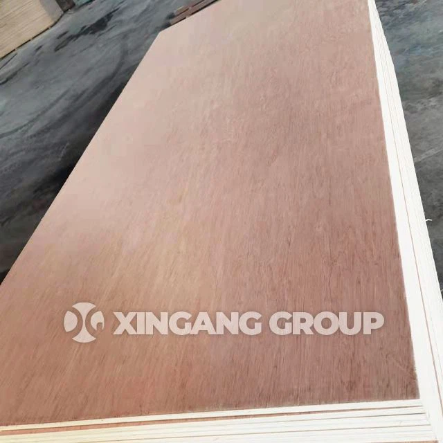18mm Bintangor Plywood