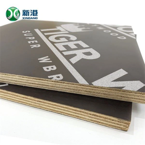 18mm Russia Birch Film Faced Plywood