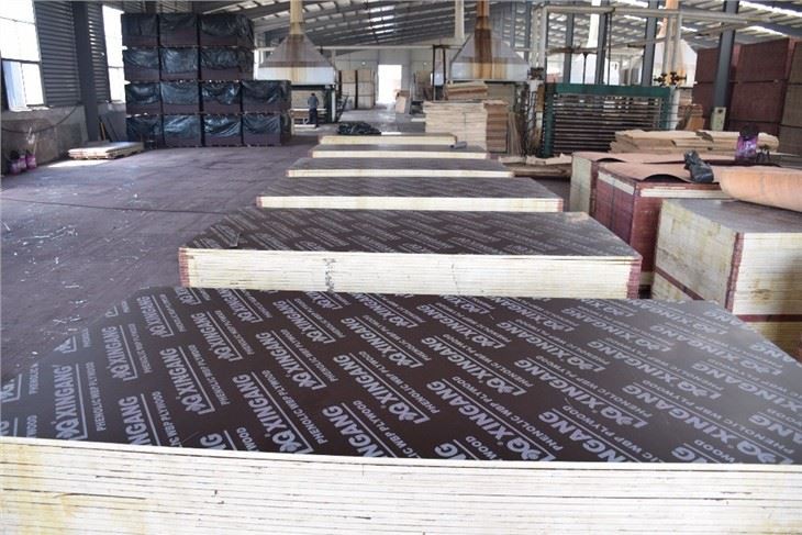 Film Faced Plywood 1220x2440mm