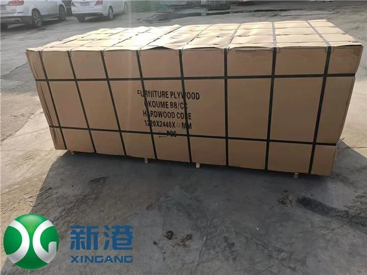 FURNITURE PLYWOOD PACKING PLYWOOD3MM 6MM 9MM 18MM