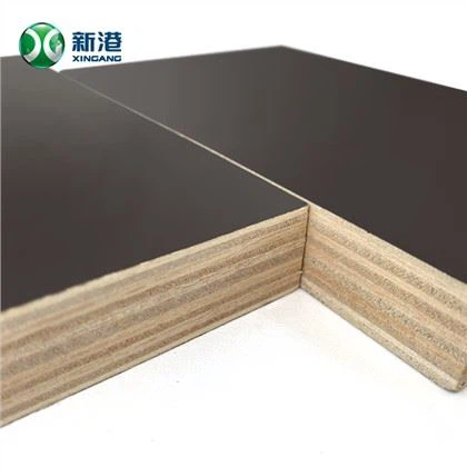 Birch Eucalyptus Core Film Faced Plywood Marine Board F17 FSC certificirana tvornička cijena fenolna dobra kvaliteta u Kini