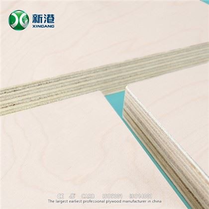 Breza Face/leđa Šperploča