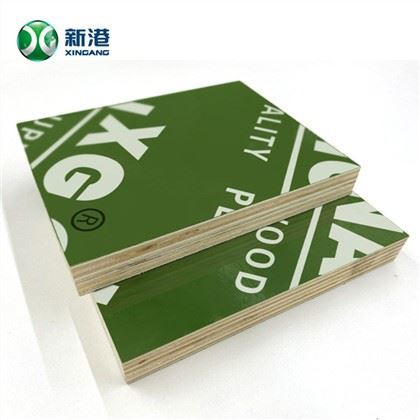 XG Green FFP XG-PLY Topola građevinska šperploča