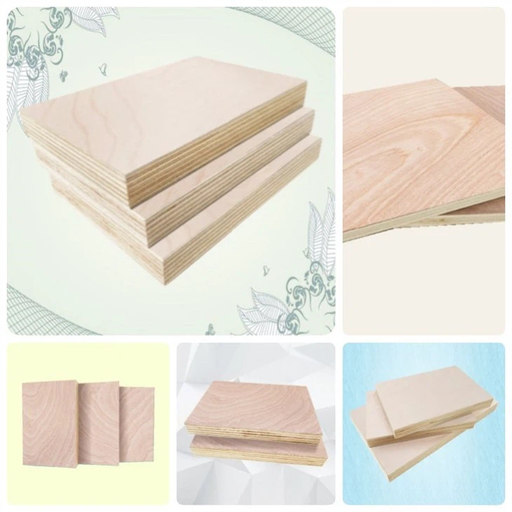 Commercial Plywood Board Natural China Poplar Core High Quality