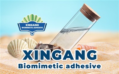 Xingang biomimetički ljepilo