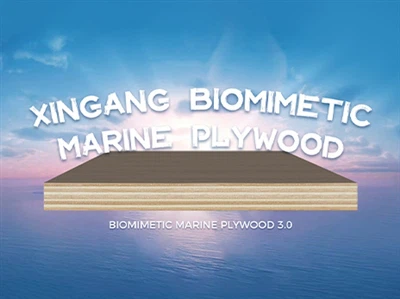 Xingang Biomimetic Morska šperploča: Revolucionarizacija izdržljivih i sigurn...