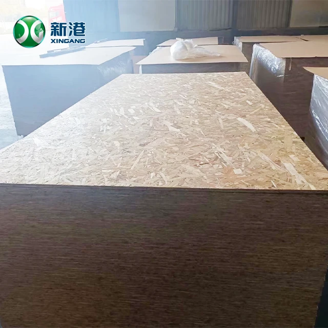 OSB20250804