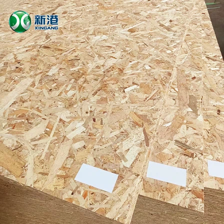Partical Board 20250616